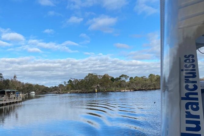 Murray River Lunch Cruise - thumb 13