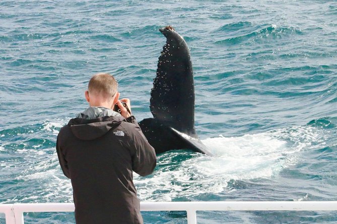 Dunsborough Whale Watching Eco Tour - thumb 9