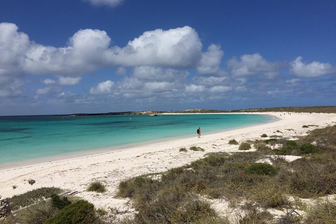 Abrolhos Island Half Day Fly and Flipper - WA Accommodation