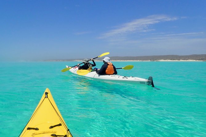 Lagoon Explorer - Ningaloo Reef Full-Day Kayaking And Snorkeling Adventure - thumb 7