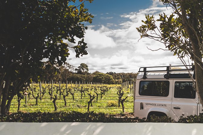 Voyager Estate: Private Winery Tasting Tour In Margaret River With Lunch - thumb 3