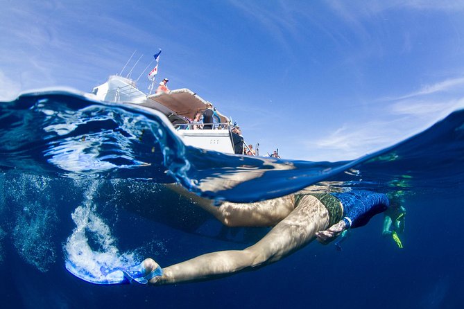 VIP Luxury Chartered Escapes, Exploring The Reef At Your Own Pace - thumb 40