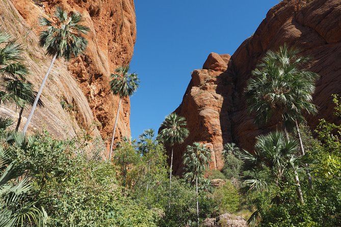 13-Day Kimberley Walking Tour Including Spectacular Gorges The Gibb River Road And The Bungle Bungles - thumb 6