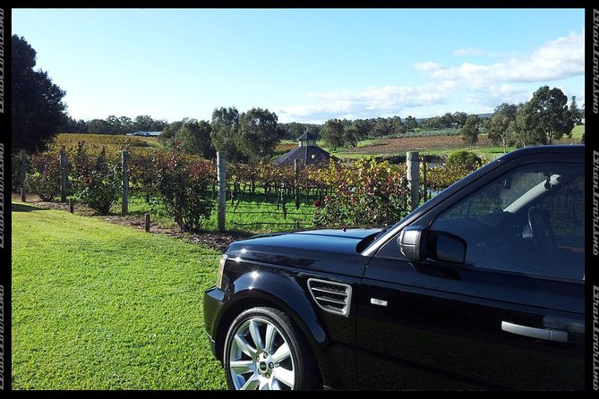 Private Swan Valley Tour By Luxury Vehicle From Perth - thumb 29