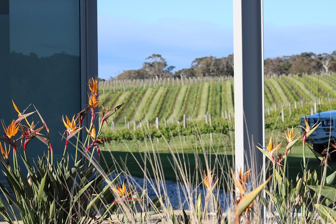 Margaret River Wine And Sights Discovery Tour From Busselton Or Dunsborough - thumb 3