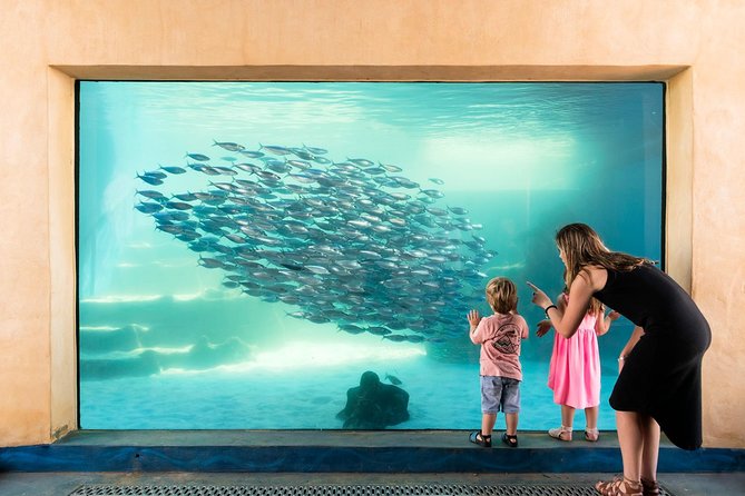 AQWA The Aquarium Of Western Australia: General Admission - thumb 0