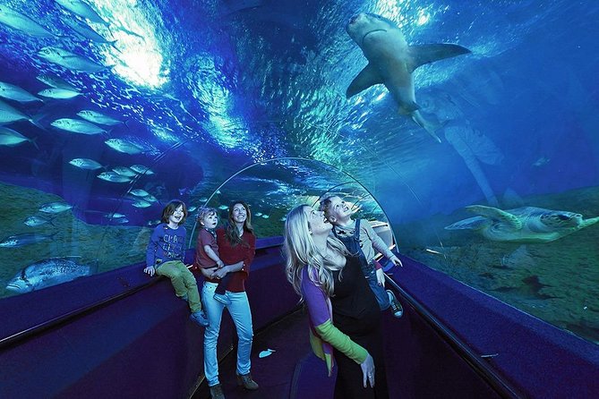 AQWA The Aquarium Of Western Australia: General Admission - thumb 14