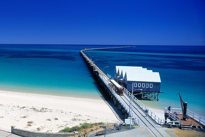 Full-Day Busselton Jetty Train Ride  Dophin Discovery - Tourism Brisbane