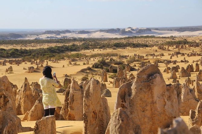Full-Day Pinnacles Sandboarding and Yanchep National Park from Perth - Accommodation Perth