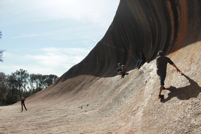 Wave Rock Half Day Air & Ground Tour - thumb 1
