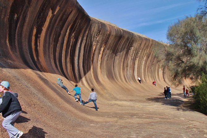Wave Rock Half Day Air & Ground Tour - thumb 8