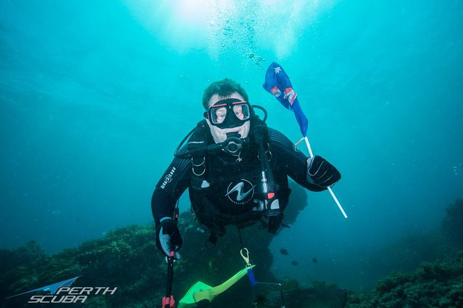 Rottnest Island Scuba Diving From Fremantle - thumb 1