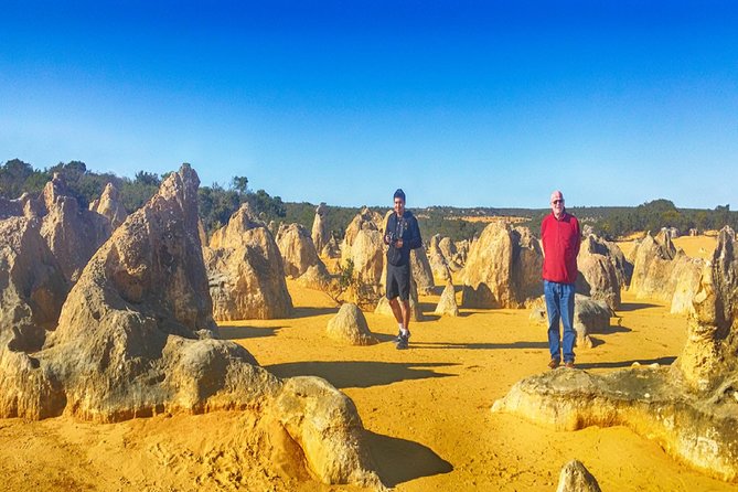 Pinnacles Day Trip Including Yanchep, Cave, Cervantes And Scarborough Beach - thumb 1