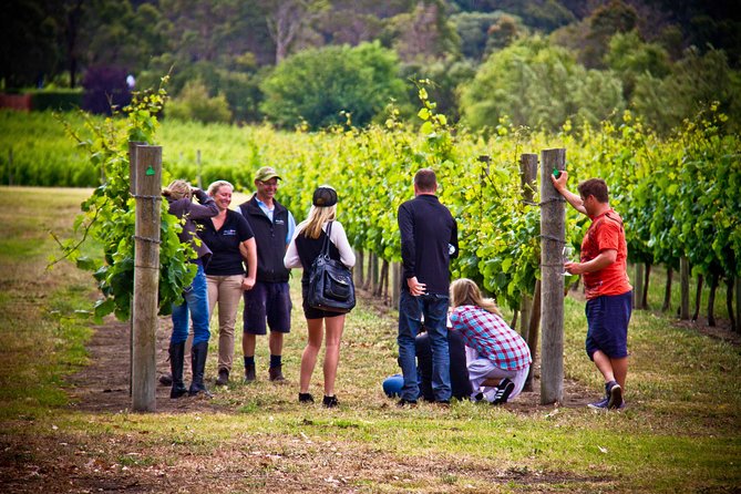Margaret River Wine Adventure - The Tour For People Who Don\'t Do Tours! - thumb 27