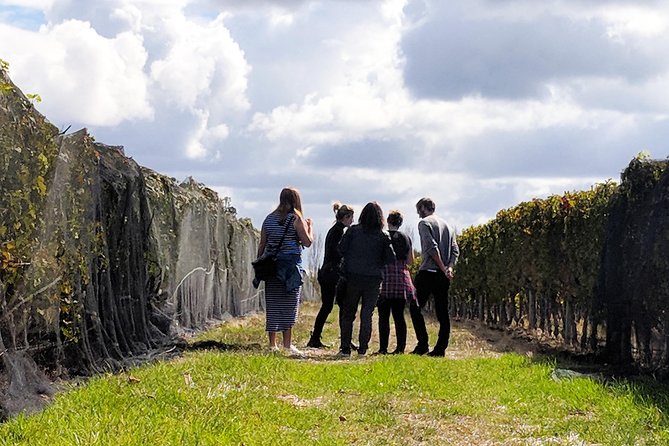 Margaret River Small-Group Full-Day Wine & Food Tour - thumb 5