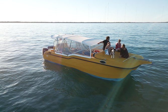 Turtle Tours On The Ningaloo Reef, Exmouth. 1/2 Day Cruise. - thumb 8