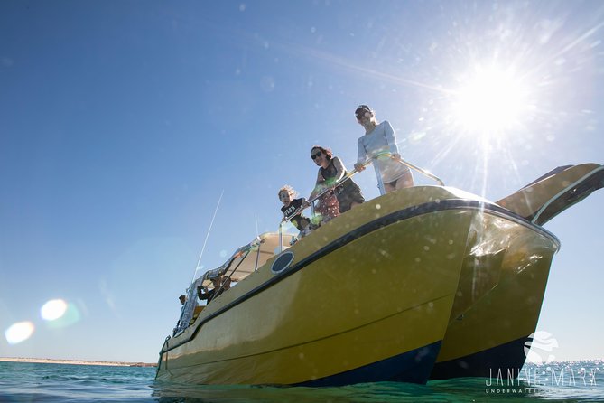Turtle Tours On The Ningaloo Reef, Exmouth. 1/2 Day Cruise. - thumb 7