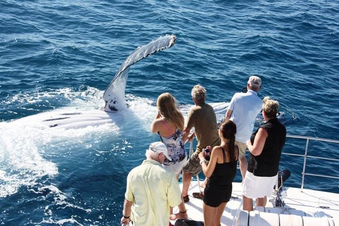 Half-Day Whale Watching Sunset Cruise From Broome - thumb 2