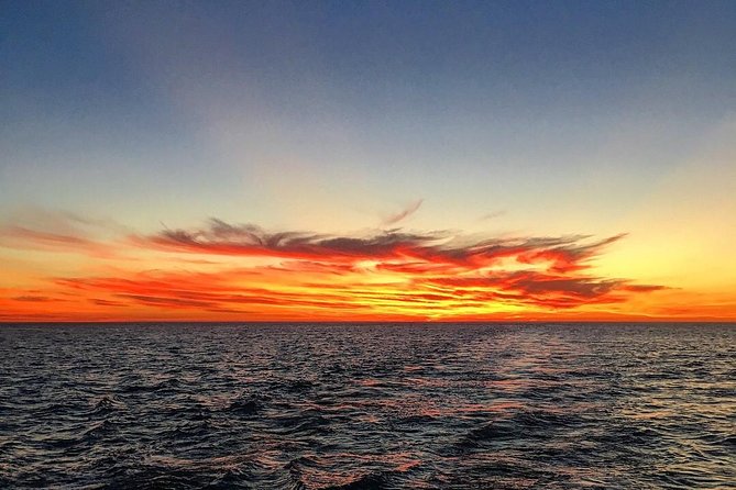 Half-Day Whale Watching Sunset Cruise From Broome - thumb 8
