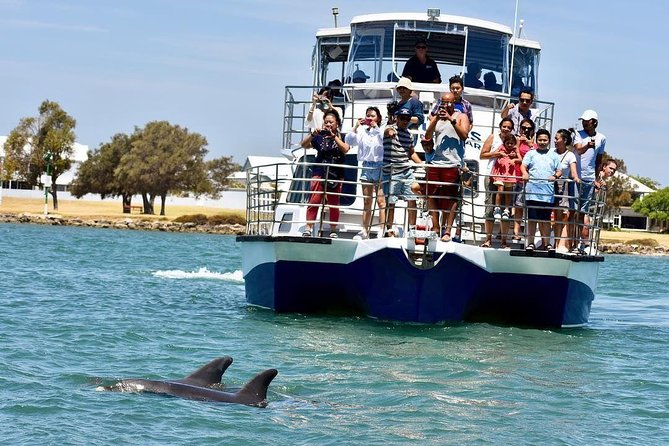 Mandurah Dolphin and Scenic Marine Cruise - Accommodation Nelson Bay
