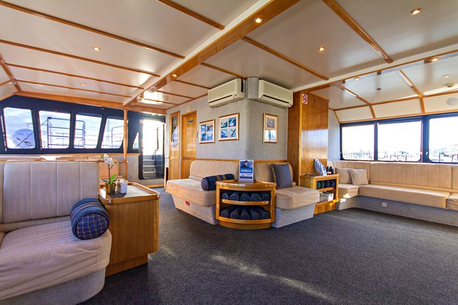 Whale-Watching Tour From Augusta Or Perth With Optional Captain\'s Lounge Upgrade - thumb 6
