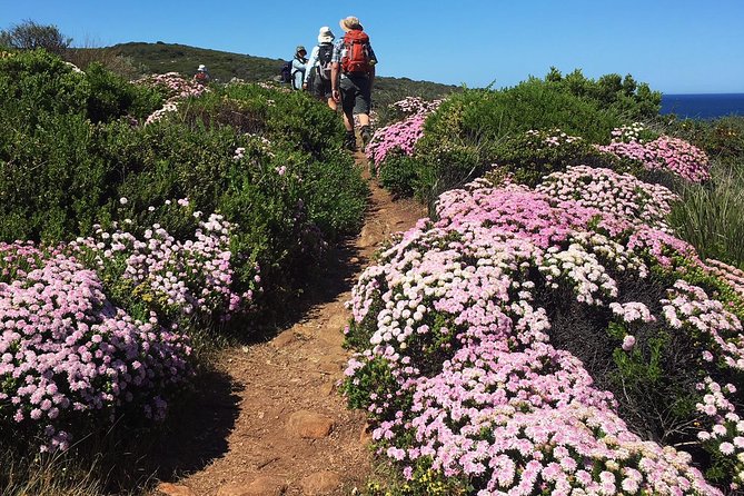 8-Day Cape To Cape Track Guided Walking Tour From Perth - thumb 4