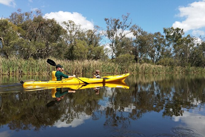Kayak Tour On The Canning River - thumb 2