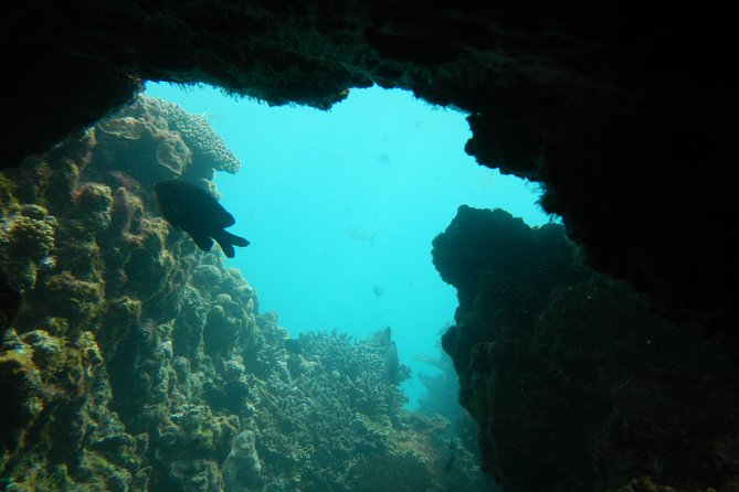 Half-Day Abrolhos Islands Shipwreck Air And Land Tour From Geraldton - thumb 0