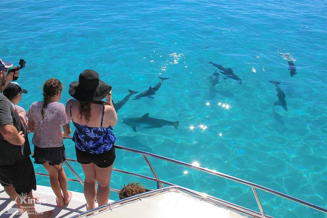 Ningaloo Reef Whale Shark Snorkeling Adventure Apr-July - thumb 4