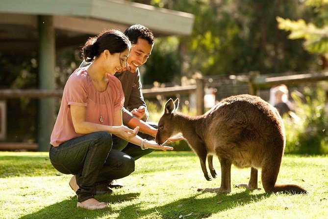 Very Best of Perth Tour - Wildlife Park  City Highlights Tour - Attractions Melbourne