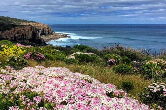 Guided Walks On The Cape To Cape - Wilyabrup Cliffs - thumb 3