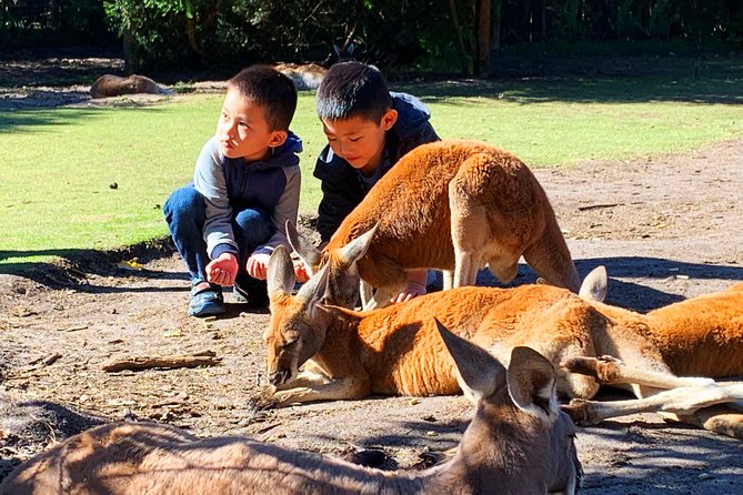 Caversham Wildlife Park, Old Guildford Town & Swan Valley Tour - thumb 0