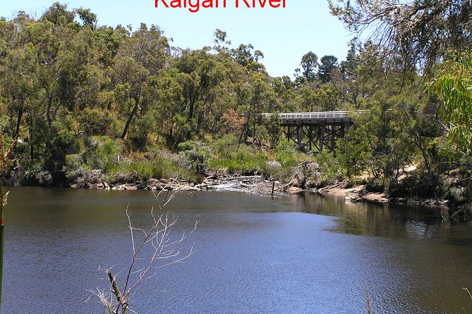 Kalgan Queen Scenic Cruises A Four Hour Sheltered Water Wildlife Tour Daily Fun. - thumb 3