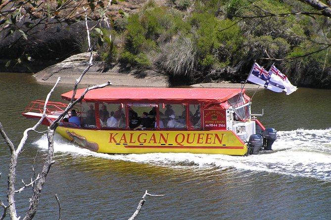 Kalgan Queen Scenic Cruises A Four Hour Sheltered Water Wildlife Tour Daily Fun. - thumb 2