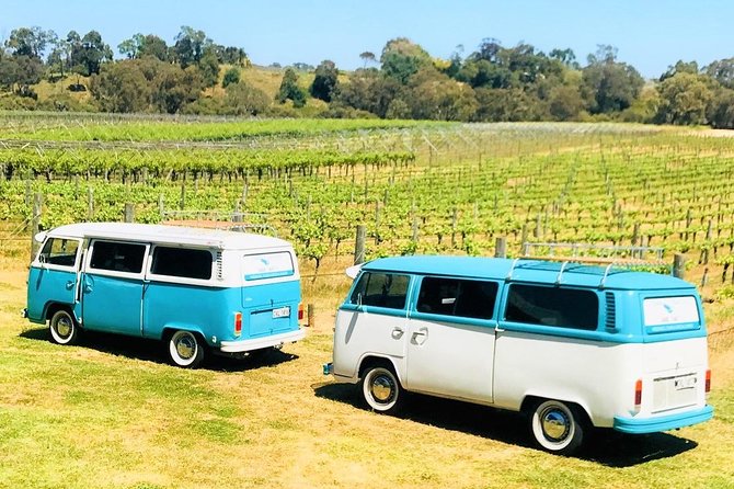 VW Kombi Wine Tour In The Swan Valley - thumb 6