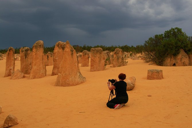 The Pinnacles, Sea And Dunescapes, Bush Reserve And Sunset Day Tour - thumb 1