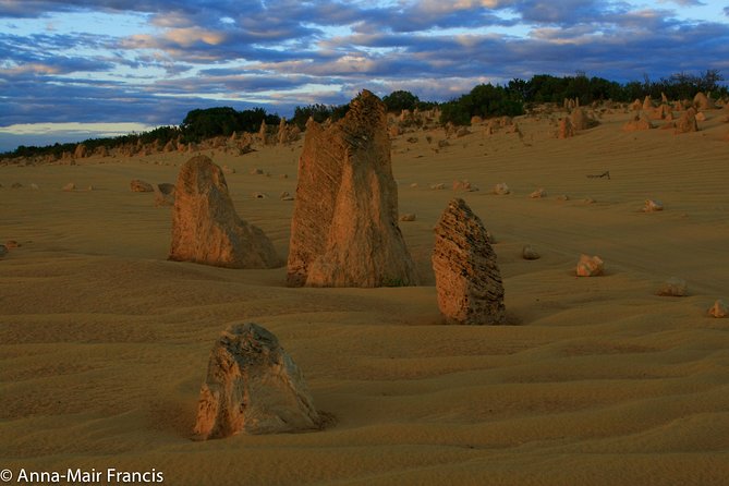 The Pinnacles, Sea And Dunescapes, Bush Reserve And Sunset Day Tour - thumb 7