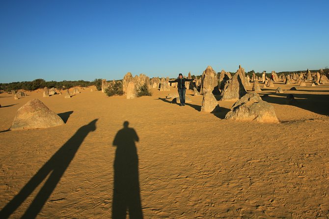 The Pinnacles, Sea And Dunescapes, Bush Reserve And Sunset Day Tour - thumb 4