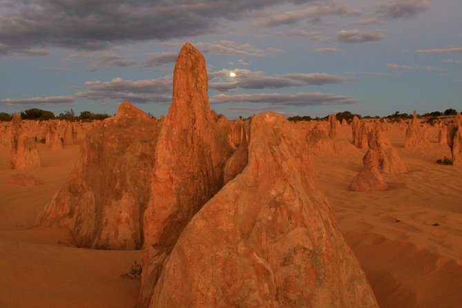 The Pinnacles, Sea And Dunescapes, Bush Reserve And Sunset Day Tour - thumb 3