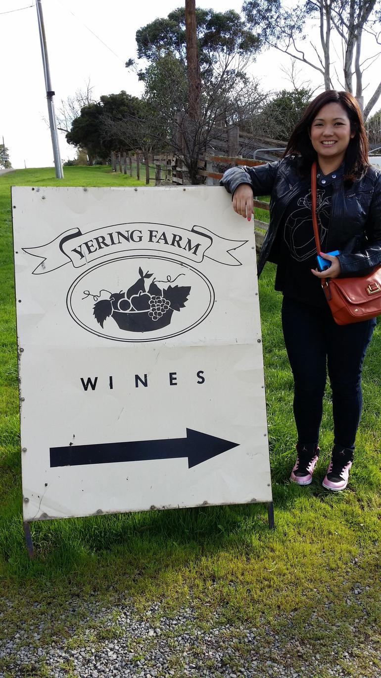 Yarra Valley Wine And Winery Tour From Melbourne - thumb 18