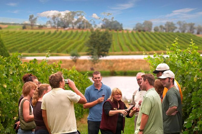 Yarra Valley Wine and Winery Tour from Melbourne - Accommodation in Bendigo