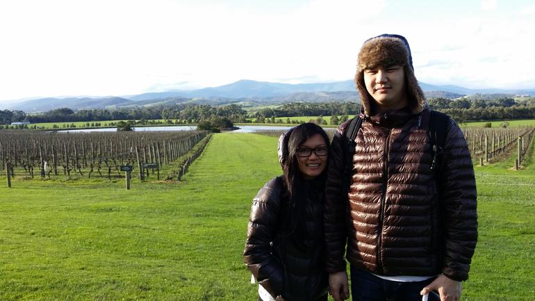 Yarra Valley Wine And Winery Tour From Melbourne - thumb 14