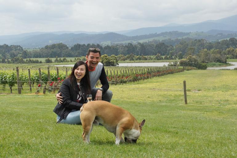 Yarra Valley Wine And Winery Tour From Melbourne - thumb 6