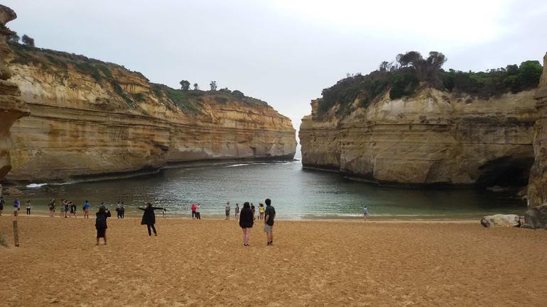 Great Ocean Road Small-Group Ecotour From Melbourne - thumb 20