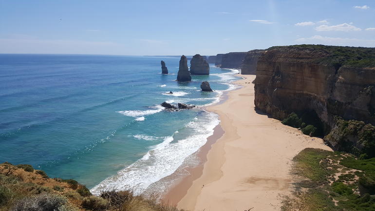 Great Ocean Road Small-Group Ecotour From Melbourne - thumb 17