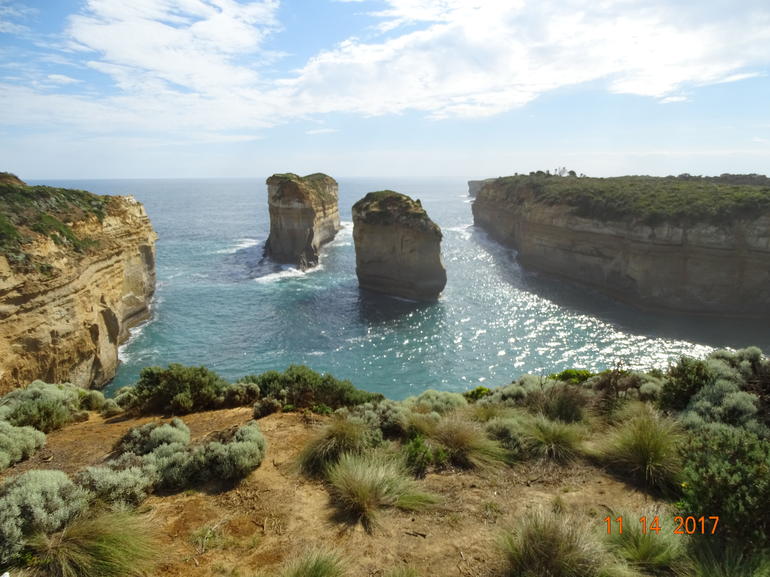 Great Ocean Road Small-Group Ecotour From Melbourne - thumb 25