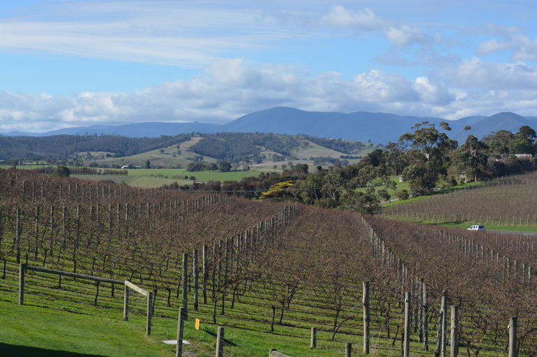 2-Day Yarra Valley Wine Tour With Luxury Vineyard Resort Stay - thumb 2