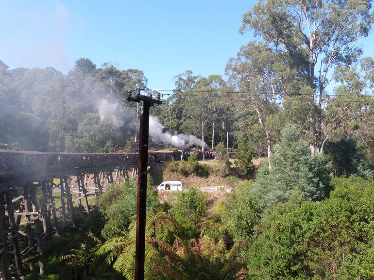 Puffing Billy Steam Train & Healesville Wildlife Sanctuary Tour From Melbourne - thumb 8