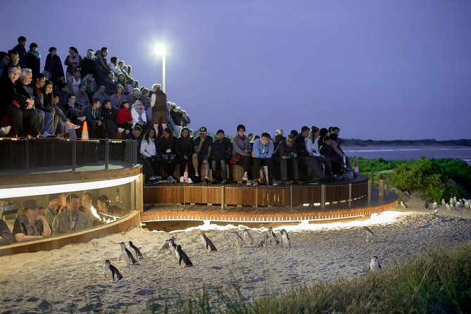 Small-Group Phillip Island Day Trip from Melbourne with Penguin Plus Viewing - Accommodation Mt Buller