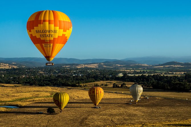 Yarra Valley Balloon Flight And Winery Tour - thumb 13